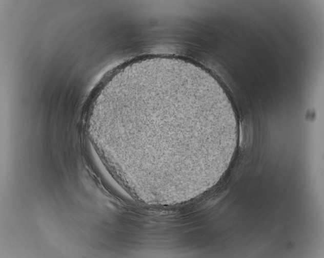X0000110950723200907311041