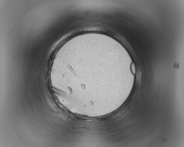 X0000110950724200907311041