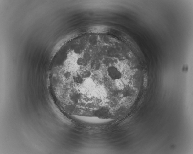 X0000110950725200907311041