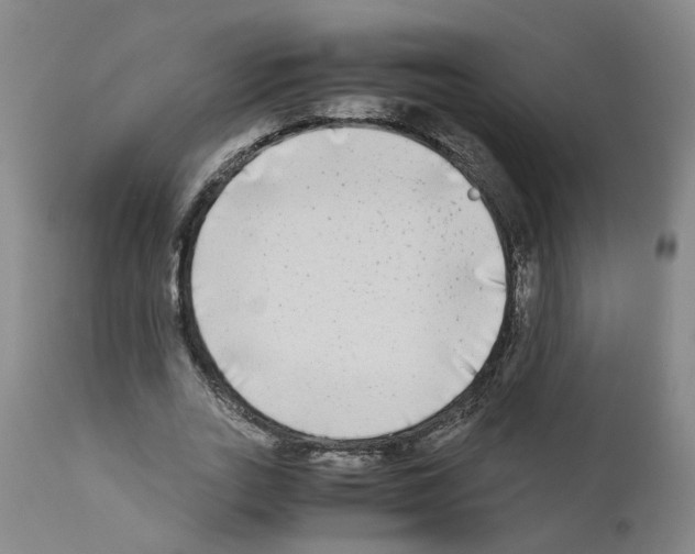X0000110950727200907311041