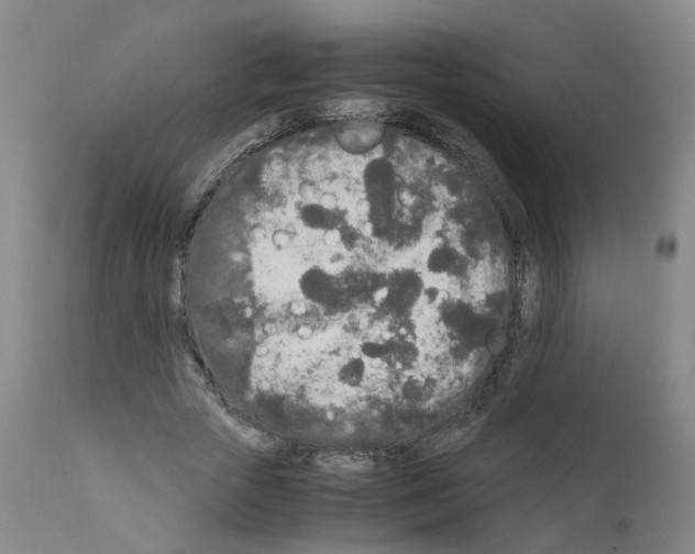 X0000110950729200907311041