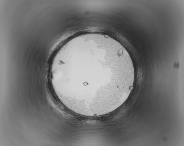 X0000110950730200907311041