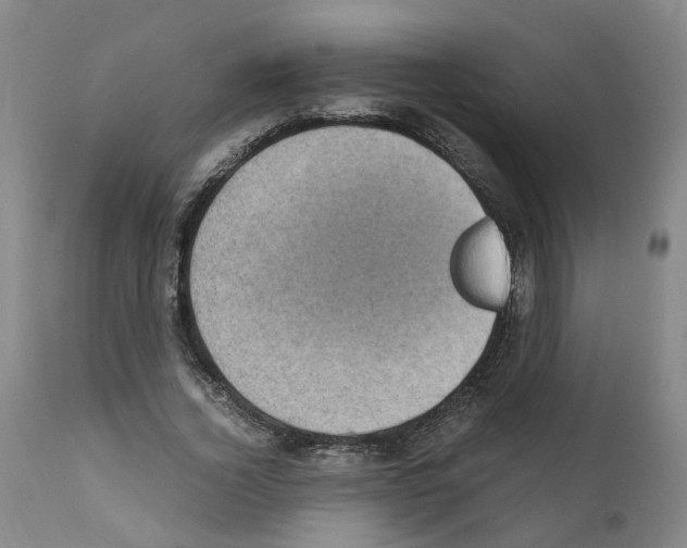 X0000110950732200907311041
