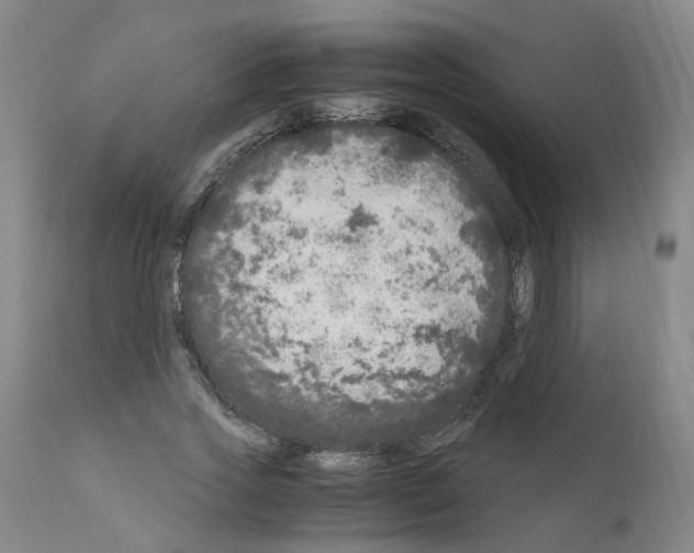 X0000110950733200907311041