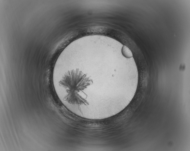 X0000110950735200907311041