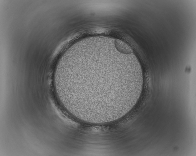 X0000110950736200907311041