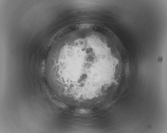 X0000110950737200907311041