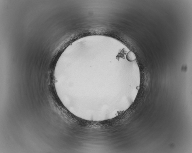 X0000110950738200907311041