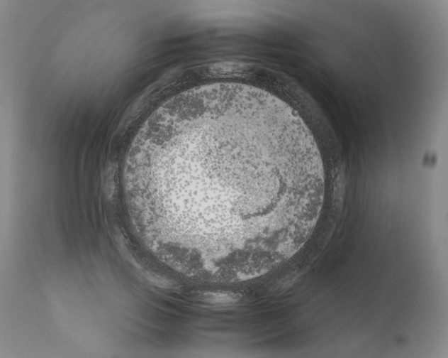 X0000110950741200907311041