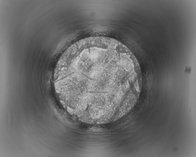 X0000110950742200907311041