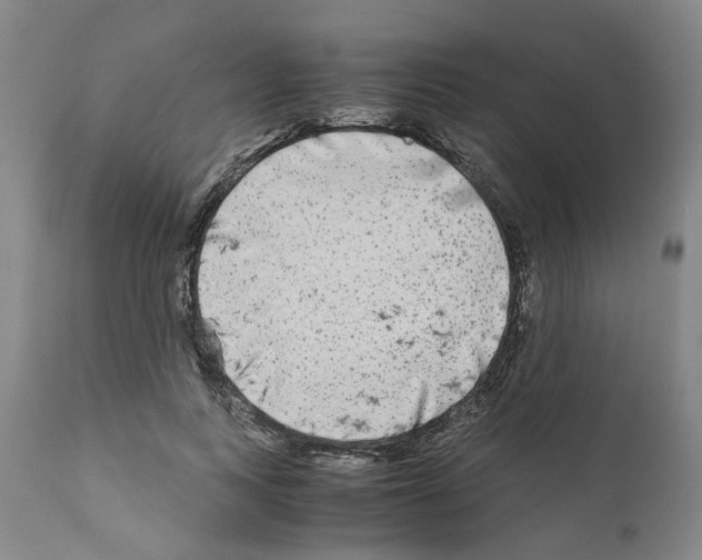 X0000110950743200907311041
