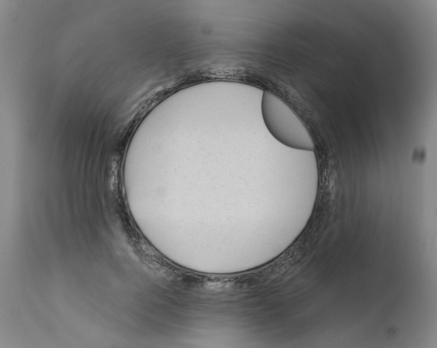 X0000110950744200907311041