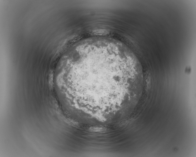 X0000110950745200907311041