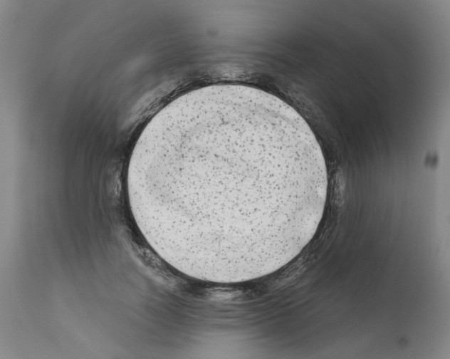 X0000110950746200907311041