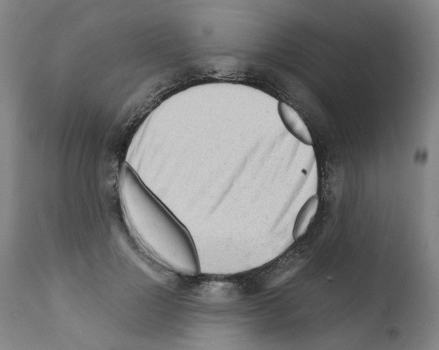 X0000110950748200907311041