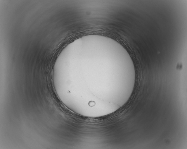 X0000110950750200907311041