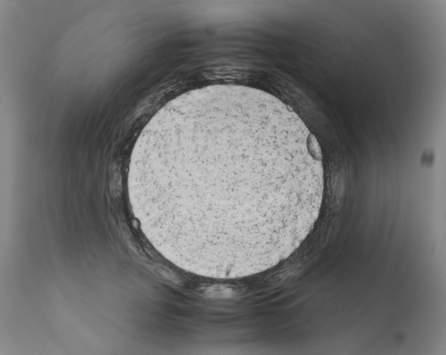 X0000110950751200907311041