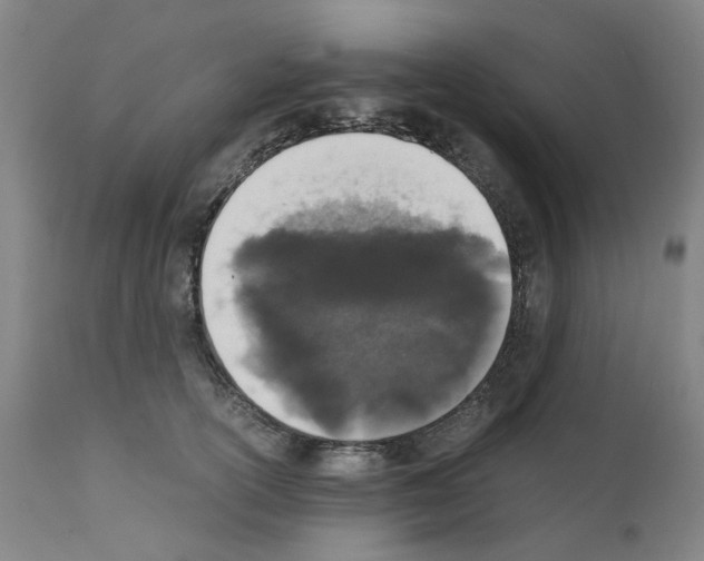X0000110950754200907311041