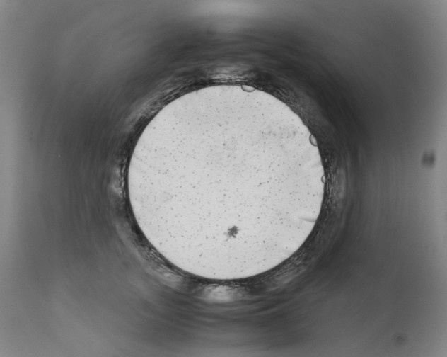 X0000110950755200907311041