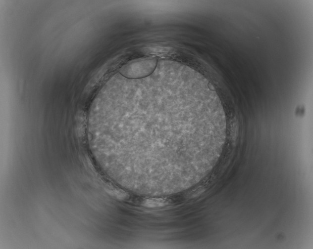 X0000110950757200907311041