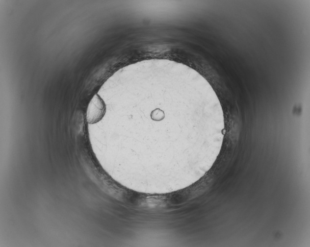 X0000110950758200907311041