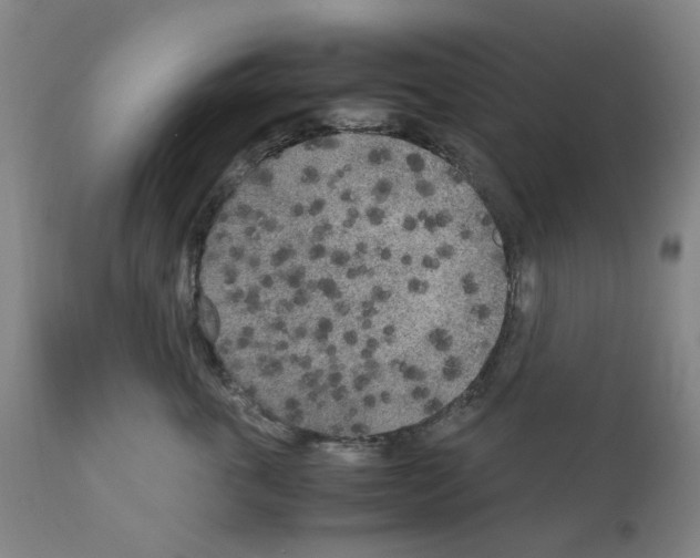 X0000110950763200907311041