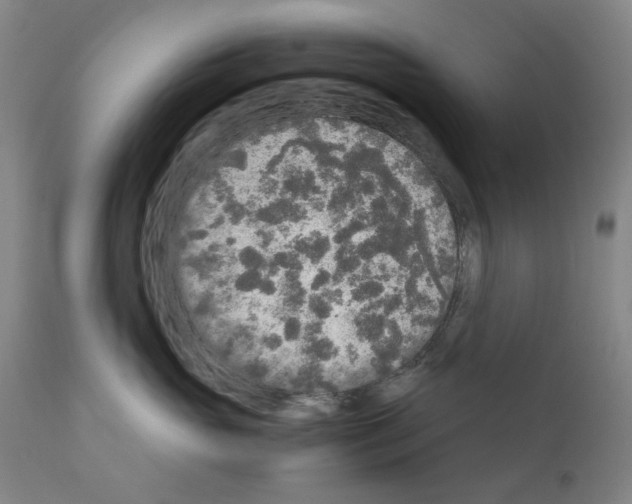 X0000110950765200907311041