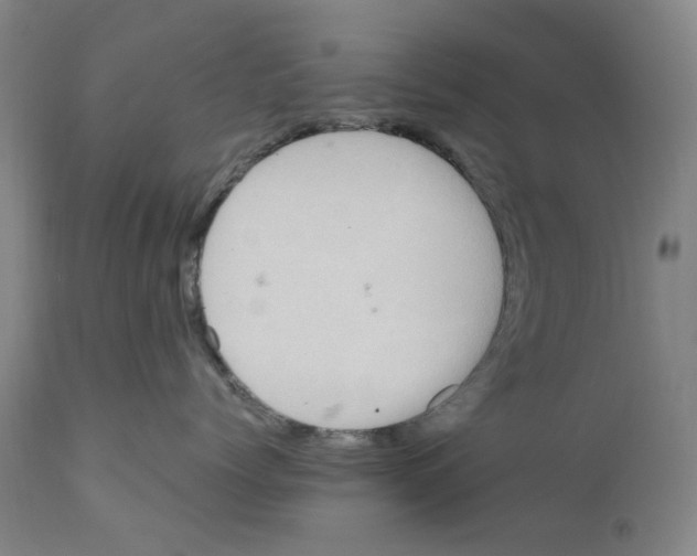 X0000110950768200907311041