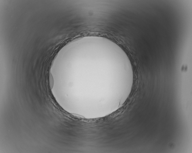 X0000110950769200907311041