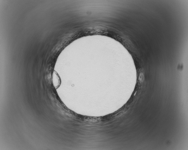 X0000110950771200907311041
