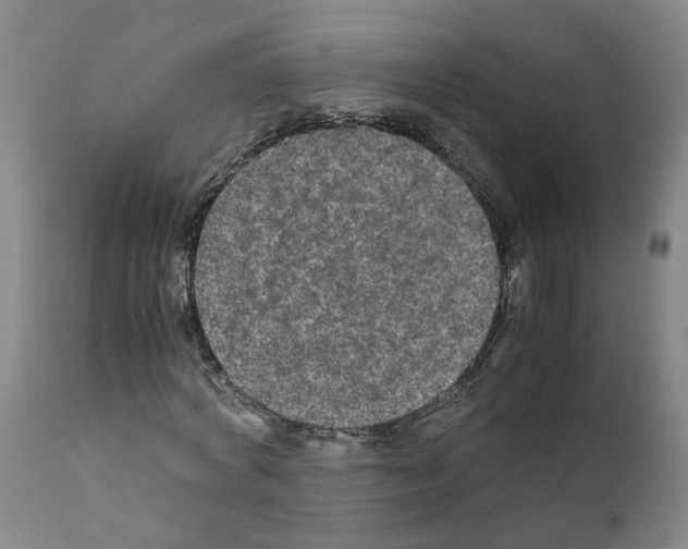 X0000110950772200907311041