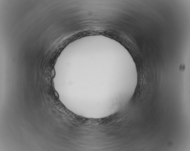 X0000110950773200907311041