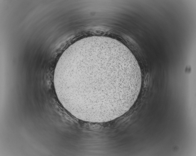 X0000110950774200907311041