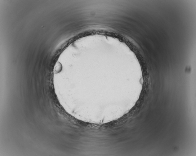 X0000110950775200907311041