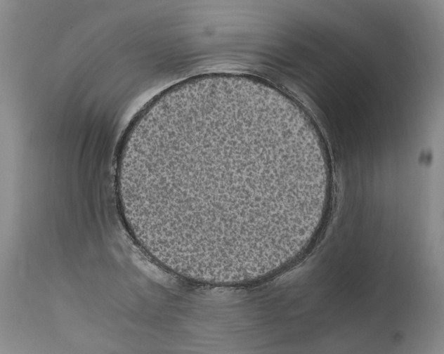X0000110950779200907311040