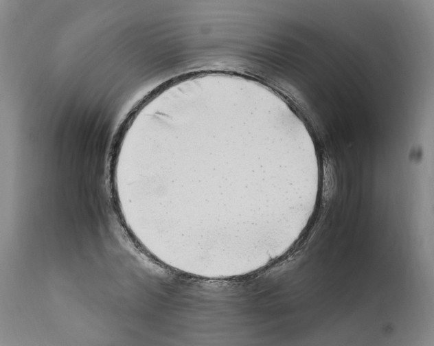 X0000110950780200907311040
