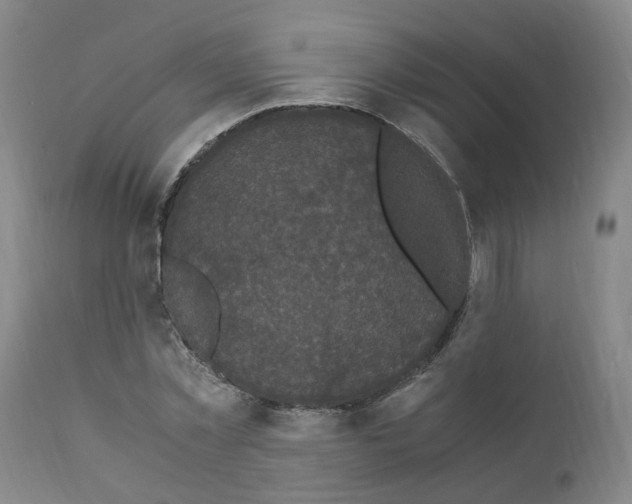X0000110950781200907311040