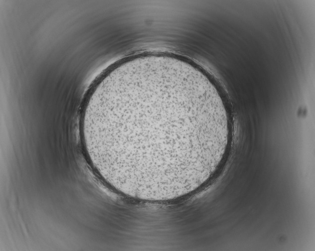 X0000110950782200907311040