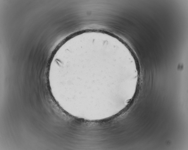X0000110950783200907311040