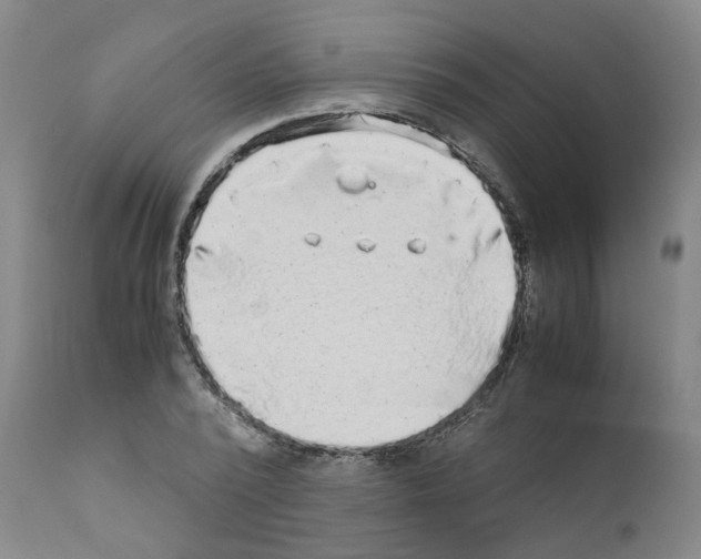 X0000110950784200907311040