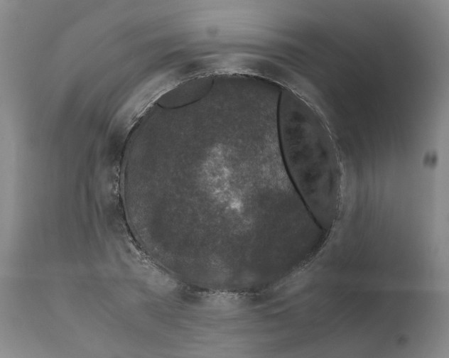X0000110950785200907311040