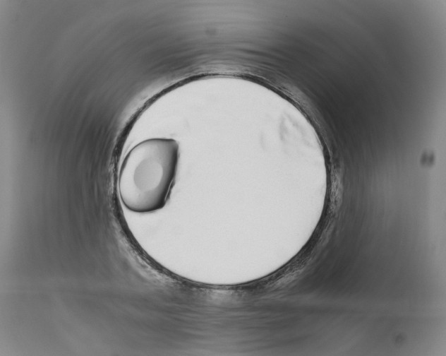 X0000110950787200907311040
