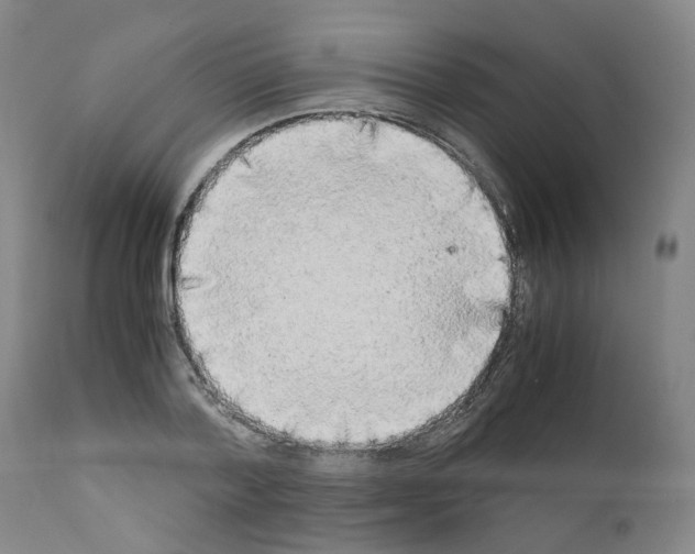 X0000110950788200907311040