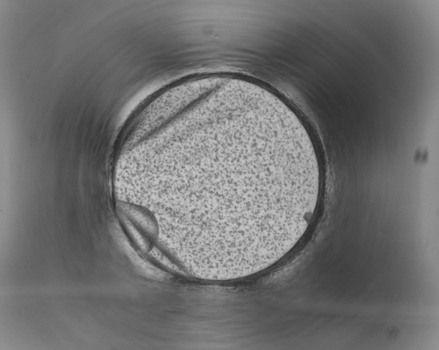 X0000110950789200907311040
