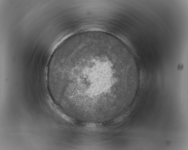 X0000110950790200907311040