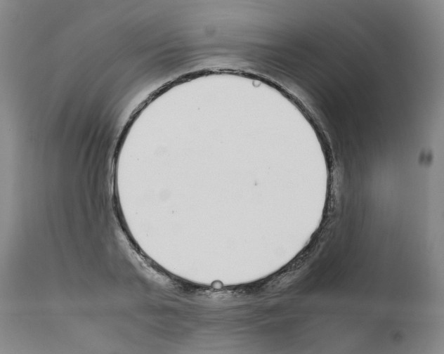 X0000110950791200907311040