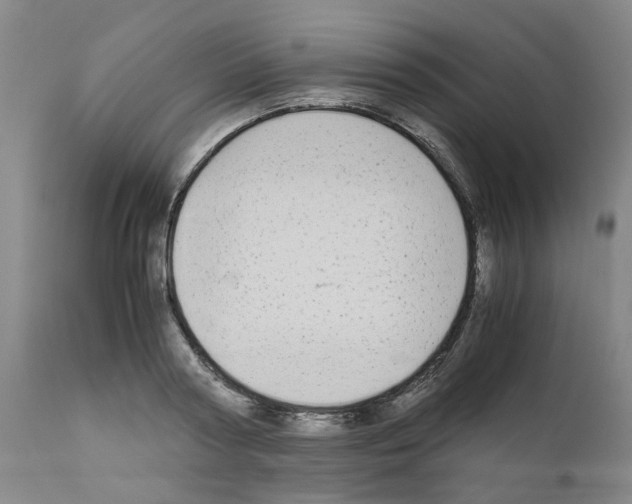 X0000110950794200907311040