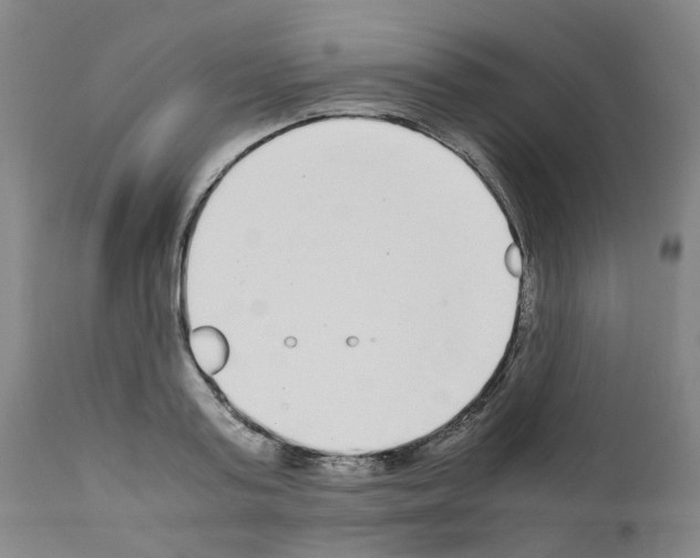 X0000110950795200907311040