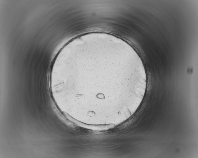 X0000110950796200907311040