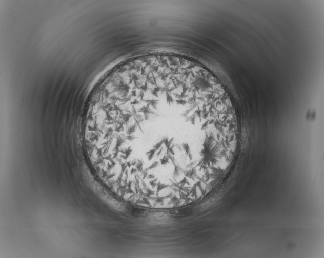 X0000110950798200907311040